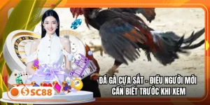 Đá Gà Cựa Sắt - Điều Người Mới Cần Biết Trước Khi Xem