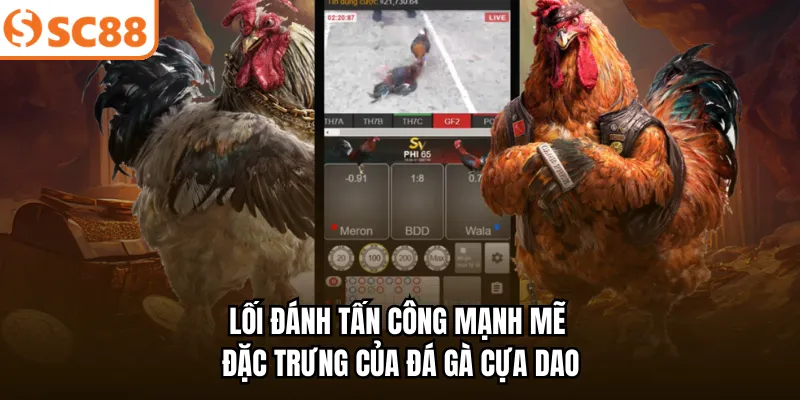 Lối đánh tấn công mạnh mẽ đặc trưng của đá gà cựa dao