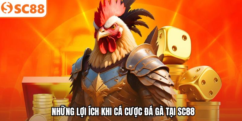 Những lợi ích khi cá cược đá gà tại SC88