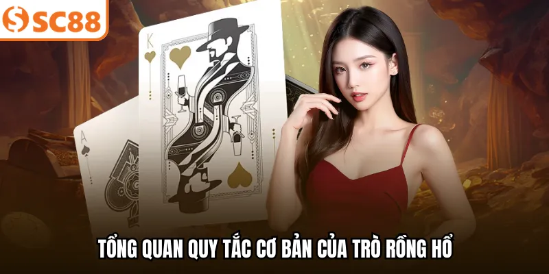 Tổng quan quy tắc cơ bản của trò Rồng Hổ