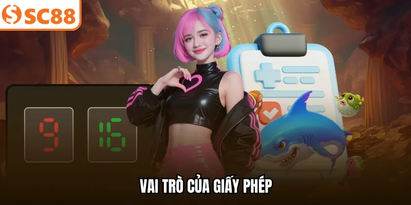 Vai trò của giấy phép
